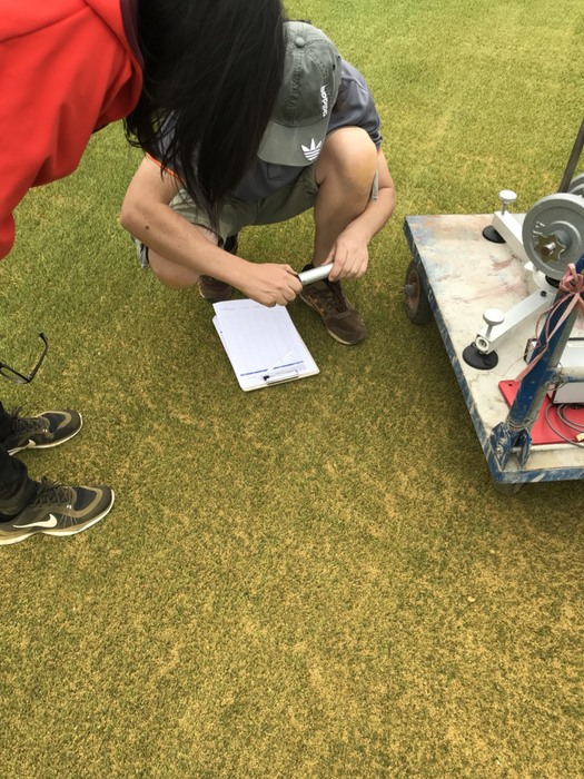 本校新設國際認證人工草皮足球場通過FIFA認證最高標準的兩星認證圖片