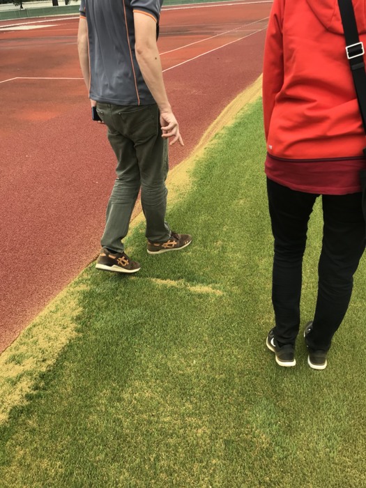 本校新設國際認證人工草皮足球場通過FIFA認證最高標準的兩星認證圖片